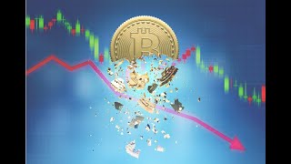 Bitcoin Crash, Crypto Crash, Ape coin crash.... It's  all going down