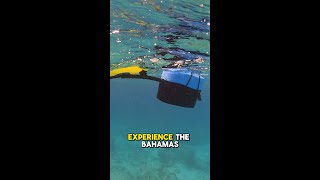 Exploring the Bahamas with Nomad Mini – Dive to 15 Feet