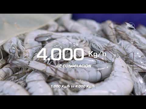 Palinox presents the Eco Sal Shower and Sal Shower models