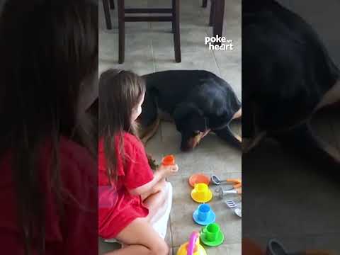 Girl Has Tea Party with Rottweiler