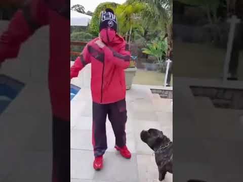 Mc Dinho da VP - Tudo 3 / Mc Poze ta Brecado