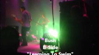 Bush Learning To Swim B-Side RARE