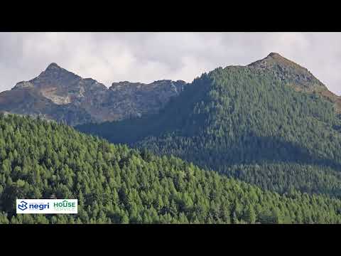 Video - Casa al Doss Bilocale con soppalco e vista sulle piste