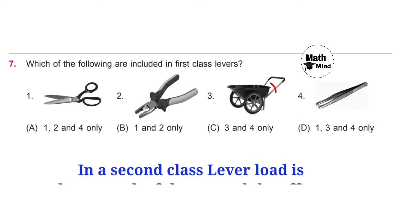 CLASS 5 National Science Olympiad Sample Paper 2022-23 / nso grade 5 / Olympiad coaching