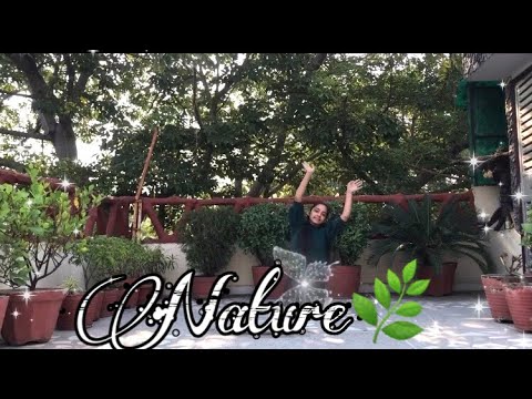 Nature song |Easy dance choreography | By Deepti tiwari