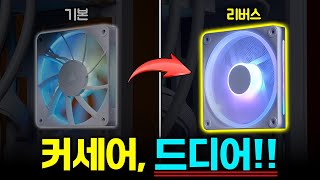 퀘이사존