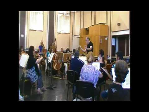 F. J. Haydn Symphony N. 101 in D Major "The Clock" 1rst. Movement