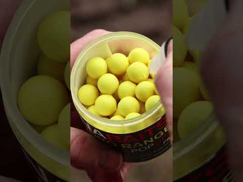 PB POP-UPS – THE PERFECT WINTER HOOKBAIT! DNA BAITS | CARP FISHING | FISHING BAIT
