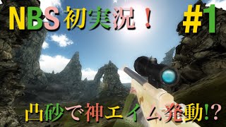 【概要欄をチェック!】【実況】新しく配信された無料FPSアプリ､NBSを実況! #1【1080p60FPS】