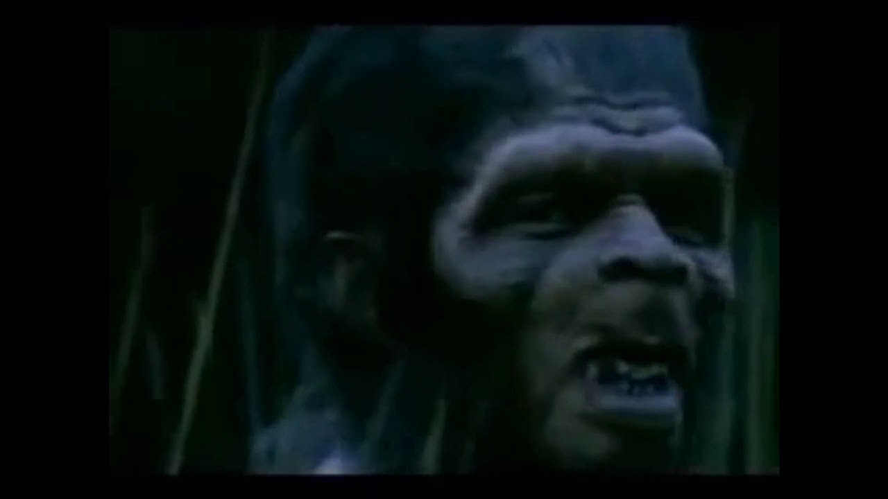 HISTORIA DE LA EDUCACIÓN Y LA PEDAGOGIA