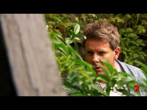 Home and Away: Sneak Peek - Where Is The Book?