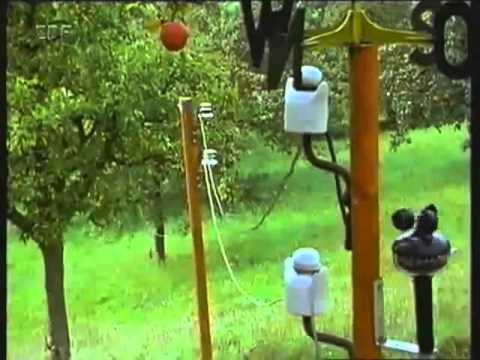 Mittendrin 23 in einem Apfelbaum - Umweltmagazin mit Peter Lustig