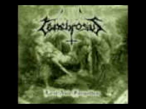 Tenebrosus - The Hanging Void