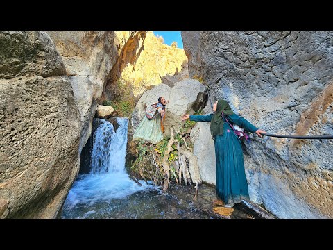 ⛰️🍇 Crossing Tough Mountain Trails to Pick Wild Fruits in the Rugged Zagros