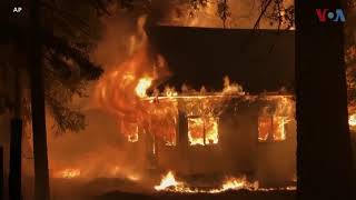 Пожари во САД- досега изгореа на пет илјади квадратни метри шуми