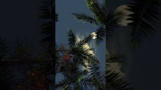 Download lagu Mentahan video aesthetic untuk bahan quotes terbaru, free download mp3