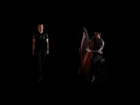 Fiachra - The Crow in the Train