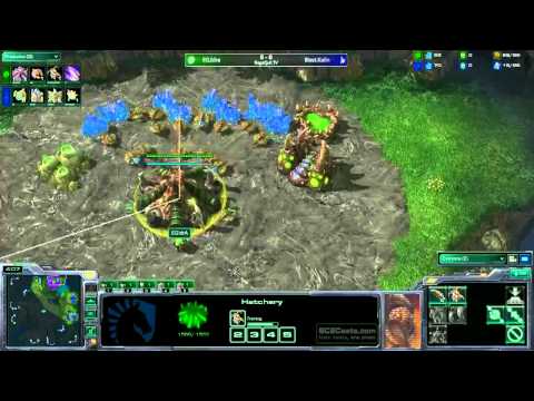 EG.Idra(Z) v Blast.Kalin(P) - G1 - Shattered Temple - TL Open #22