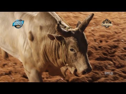 Final do CRP Quintana 2017 - MELHOR TOURO - REI DA SAFRA