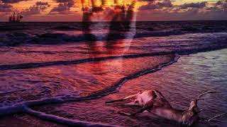 71 Nicole - Gravenhurst