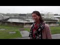 Waarom zou je de regenpijp afkoppelen van het riool?