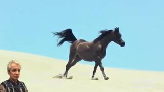 Bir Yanım Kalp Ağrısı Bir Yanım Oralı Değil