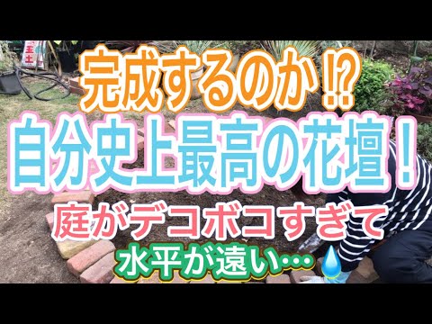 黄色くなったThujaの生垣：復活させることはできるでしょうか？どのような治療法を節約すればよいでしょうか？  庭園