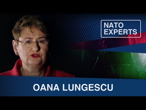 Esperti NATO | Perché la trasparenza è così importante per la NATO?