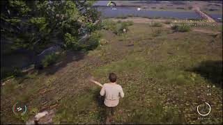 PS4　メディーバルダイナスティ　王国作る