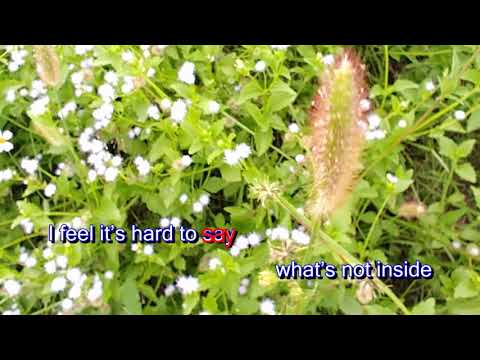 Phillip Phillips – Fly