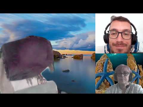 HIPNOZA REGRESIVA.RO-1605.Edy si Eric si Contractul de incarnare. E. LASCU coord si ELA tel.