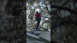 Why Do You Want To Work For McCullough Tree Service? | Hiring Tree Workers