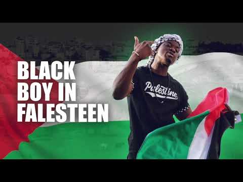 Jae Deen & Waheeb Nasan - A Free Palestine (Lyric Video)