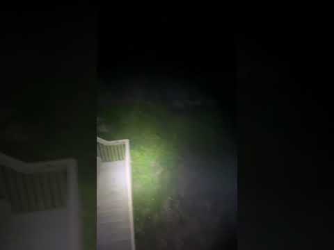 GOOD vs. BAD: Streamlight PolyTac Flashlight