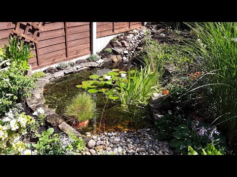 small shed Saturday #219 - finishing the pond