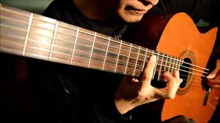 The Brain Dance - Animals As Leaders (Intro) (Acoustic Cover)