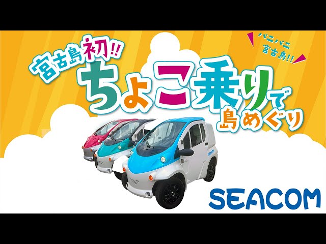 SEACOM（シーコム）