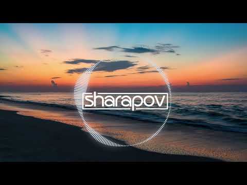 The Bestseller & Sharapov - Talking