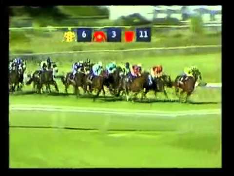 Course De Reference - Max Rapax - Racing Association