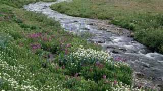 I'll Let You Go - Carolyn Dawn Johnson - Lyrics