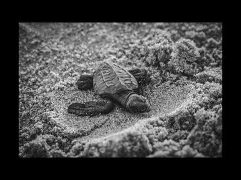 песни за деца | Колко прави 2 и 2  всички знаем | любими детски песни