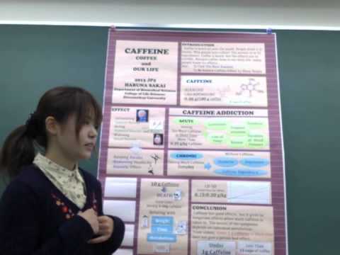 [PEP-Con2014:JP2] SAKAI Haruna