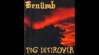 Pig Destroyer - Contagion