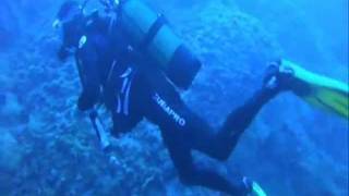 preview picture of video 'VIS (Komiža) diving photos'