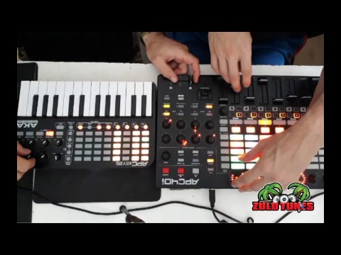 Organoise _ Live Stream - Feb 2019 - 01