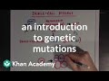 An Introduction To Genetic Mutations Biomolecules MCAT Khan Academy