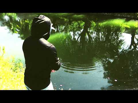 Peacock Bass Fishing with Monster Mike