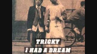 Tricky - I Had A Dream (DJ Snatch edit)