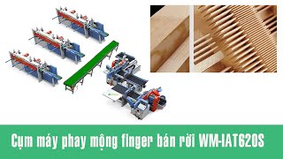 WM-IAT620S - Bộ máy phay finger bán rời Woodmaster