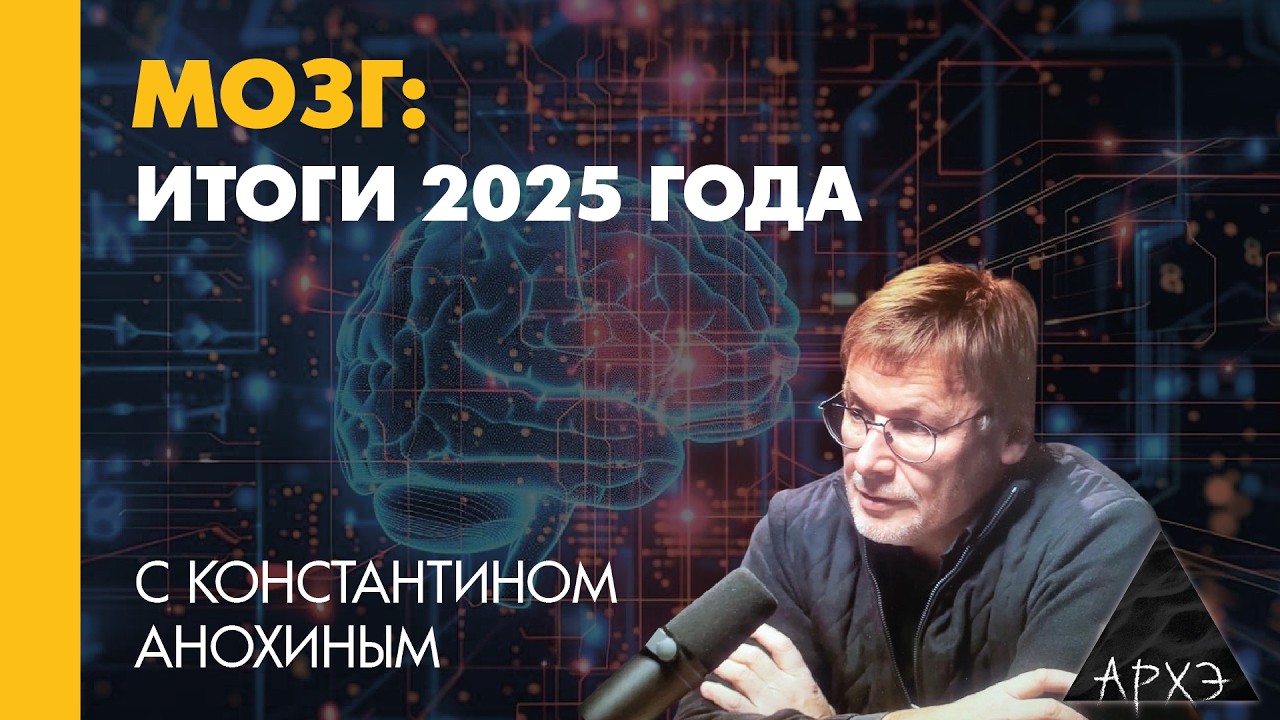 Константин Анохин: Мозг. Итоги 2025 года